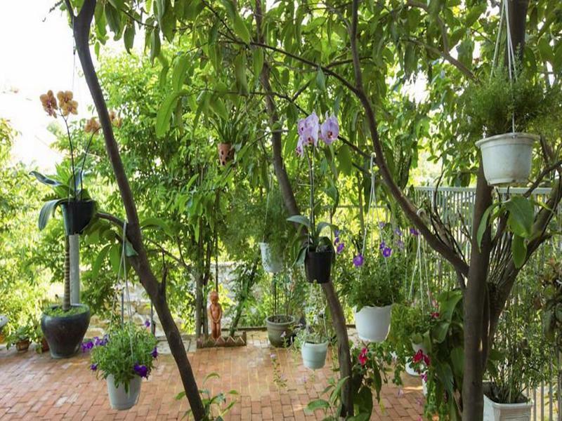 Quynh Nhan Homestay Hoi An Exteriör bild